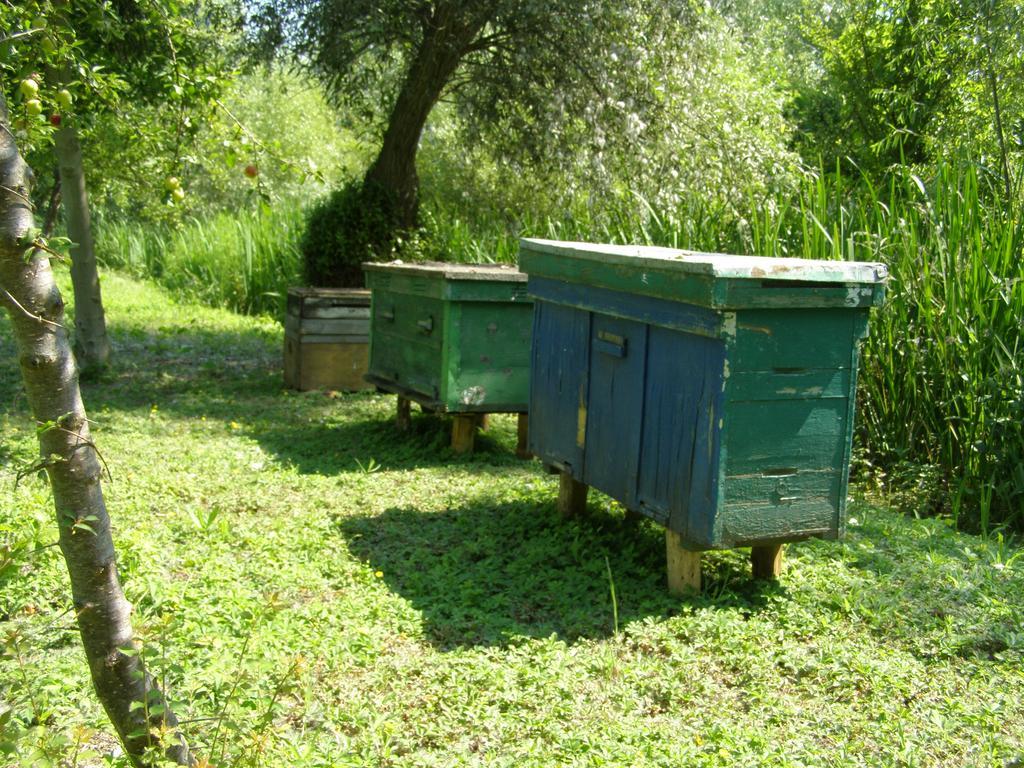 Pelican City Wylkowe Exterior foto